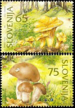 slo1--149-150