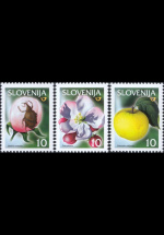 slo1--302-304