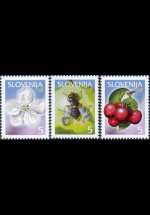 slo1--313-315
