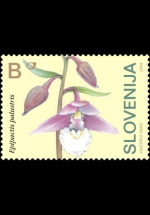 slo1--483
