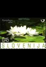 slo1--655
