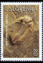 slo1--295