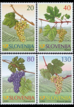 slo1--320-323