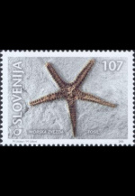 slo1--347