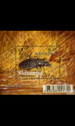 slo1--bl44