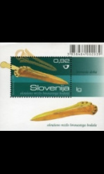 slo1--bl46