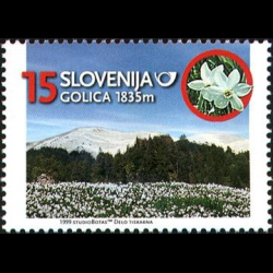 slo1--255