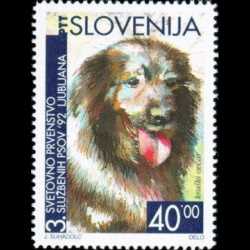 slo1--29