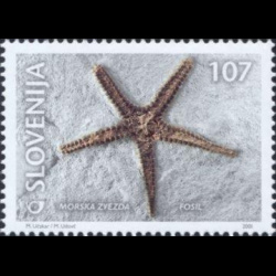 slo1--347