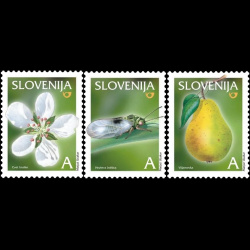 slo1--479-481