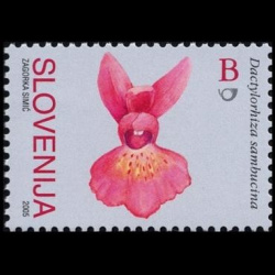 slo1--560