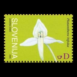 slo1--561