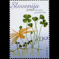 slo1--592