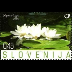 slo1--655
