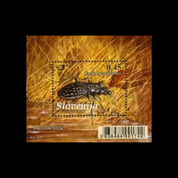slo1--bl44