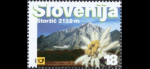slo1--287