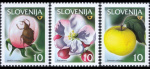 slo1--302-304