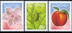 slo1--360-362